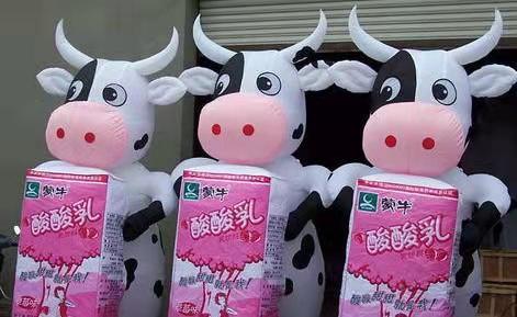 汉中牛奶厂广告气模
